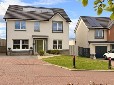 Picture 42